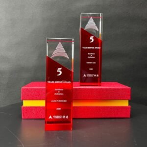 Alternative view of Custom K9 Red & Clear Crystal Award Trophy for Corporate 5 Years Service Excellence - 3D Laser Engraved Logo