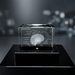 Custom K9 Crystal 3D Laser-Engraved Human Brain Anatomy Model with Comprehensive Neural Labeling – Case Study for Medical Schools