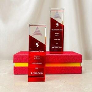 Custom K9 Red & Clear Crystal Award Trophy for Corporate 5 Years Service Excellence - 3D Laser Engraved Logo