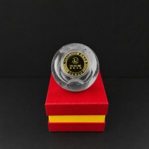 Alternative view of Custom Corporate Gift K9 Crystal Globe Trophy with Embedded Commemorative Coin | Premium Custom Trophy Manufacturer